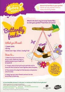 Butterfly feeder