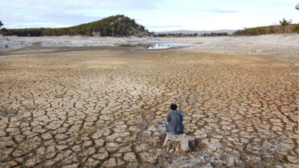 Young man sitting helplessly in a pond drained by drought